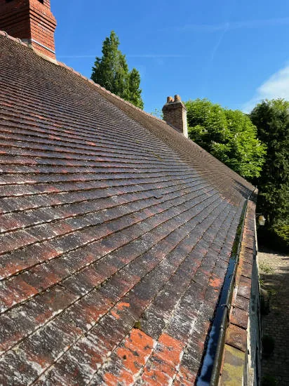 Nettoyage et démoussage de toiture dans le Loiret (45)