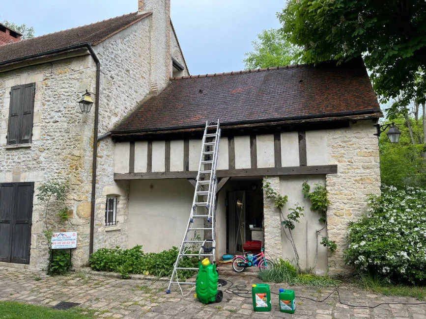 Nettoyage et démoussage de toiture dans le Loiret (45)